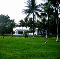 /album/fotos/a536837-228862660561882-1723657866-n-1-jpg/